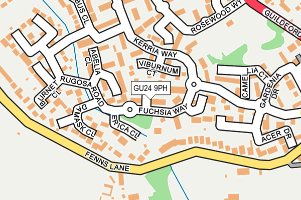 GU24 9PH map - OS OpenMap – Local (Ordnance Survey)