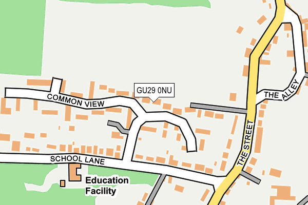GU29 0NU map - OS OpenMap – Local (Ordnance Survey)