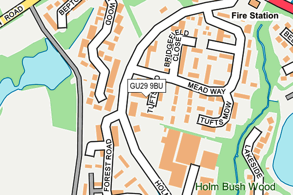 GU29 9BU map - OS OpenMap – Local (Ordnance Survey)