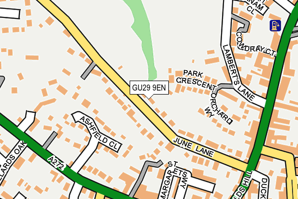 GU29 9EN map - OS OpenMap – Local (Ordnance Survey)