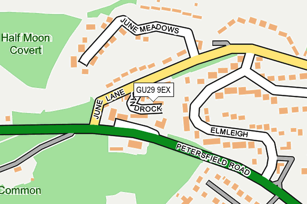 GU29 9EX map - OS OpenMap – Local (Ordnance Survey)