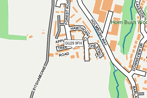 GU29 9FH map - OS OpenMap – Local (Ordnance Survey)