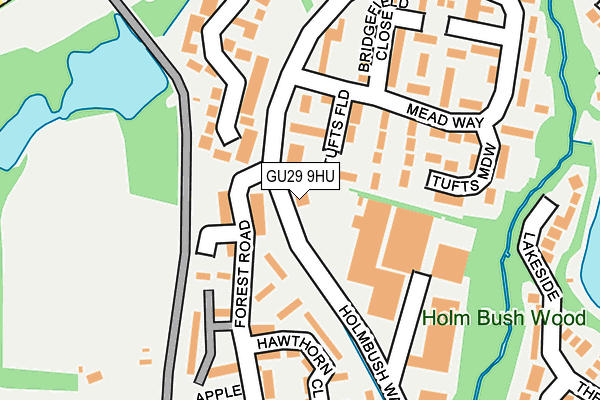 GU29 9HU map - OS OpenMap – Local (Ordnance Survey)