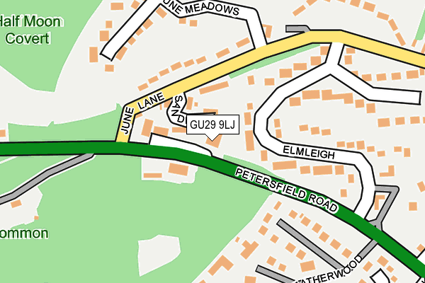 GU29 9LJ map - OS OpenMap – Local (Ordnance Survey)