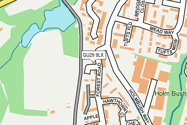 GU29 9LX map - OS OpenMap – Local (Ordnance Survey)