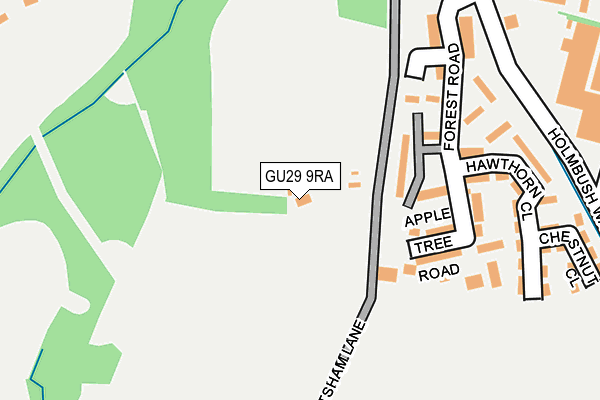 GU29 9RA map - OS OpenMap – Local (Ordnance Survey)
