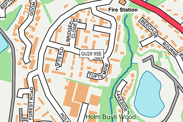 GU29 9SE map - OS OpenMap – Local (Ordnance Survey)