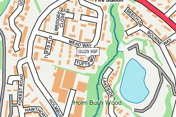 GU29 9SF map - OS OpenMap – Local (Ordnance Survey)