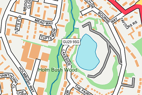 GU29 9SG map - OS OpenMap – Local (Ordnance Survey)