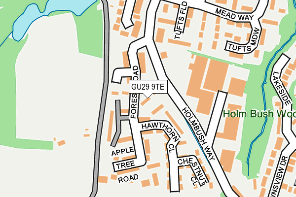 GU29 9TE map - OS OpenMap – Local (Ordnance Survey)