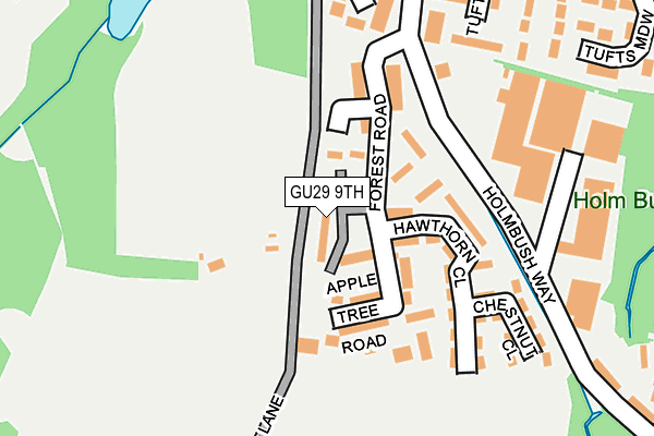 GU29 9TH map - OS OpenMap – Local (Ordnance Survey)
