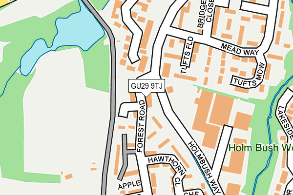 GU29 9TJ map - OS OpenMap – Local (Ordnance Survey)