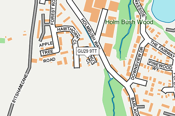 GU29 9TT map - OS OpenMap – Local (Ordnance Survey)