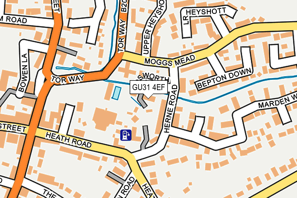 GU31 4EF map - OS OpenMap – Local (Ordnance Survey)