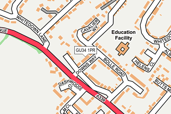 GU34 1PR map - OS OpenMap – Local (Ordnance Survey)