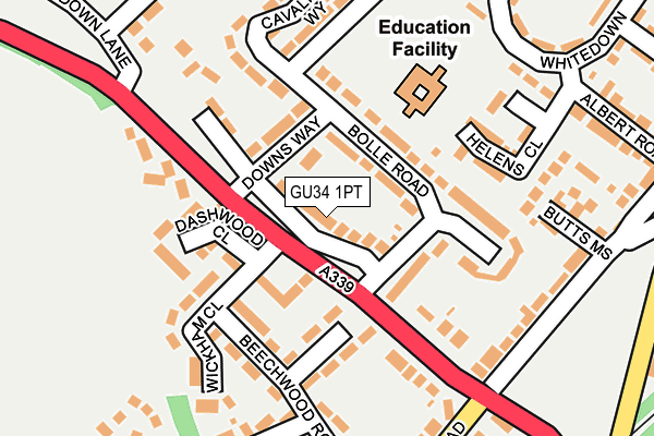 GU34 1PT map - OS OpenMap – Local (Ordnance Survey)