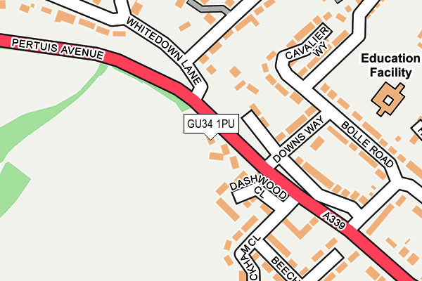 GU34 1PU map - OS OpenMap – Local (Ordnance Survey)