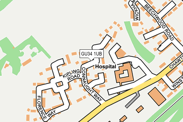 GU34 1UB map - OS OpenMap – Local (Ordnance Survey)