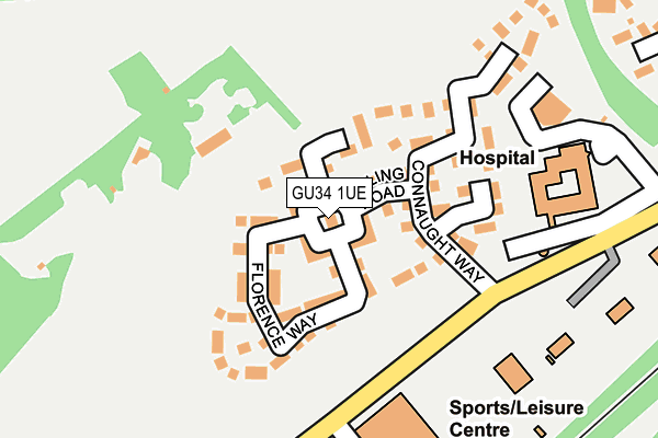 GU34 1UE map - OS OpenMap – Local (Ordnance Survey)