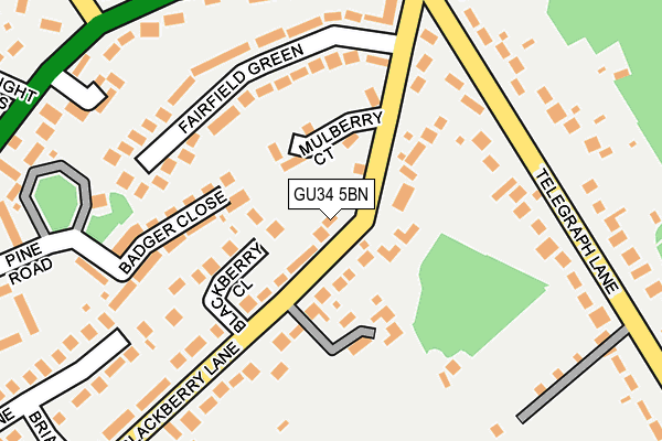 GU34 5BN map - OS OpenMap – Local (Ordnance Survey)