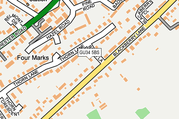 GU34 5BS map - OS OpenMap – Local (Ordnance Survey)