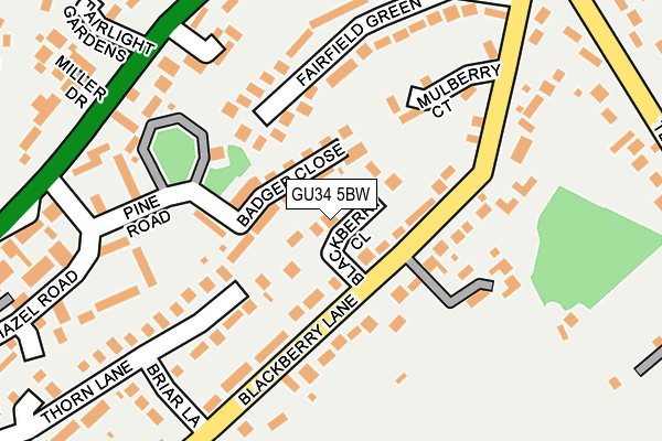 GU34 5BW map - OS OpenMap – Local (Ordnance Survey)