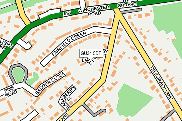 GU34 5DT map - OS OpenMap – Local (Ordnance Survey)