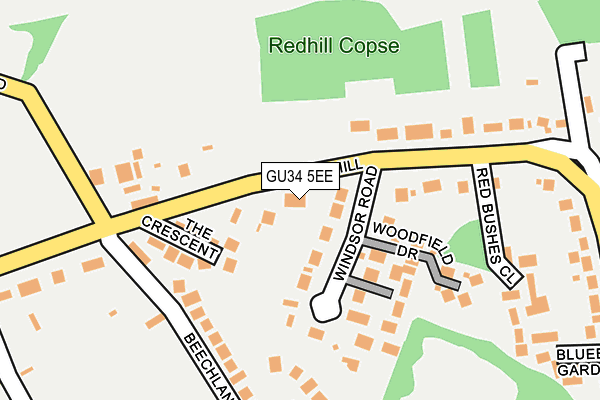 GU34 5EE map - OS OpenMap – Local (Ordnance Survey)