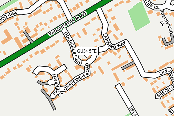 GU34 5FE map - OS OpenMap – Local (Ordnance Survey)