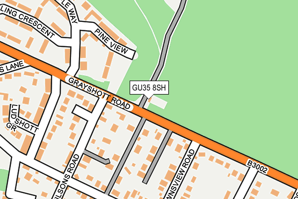 GU35 8SH map - OS OpenMap – Local (Ordnance Survey)