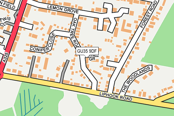GU35 9DF map - OS OpenMap – Local (Ordnance Survey)