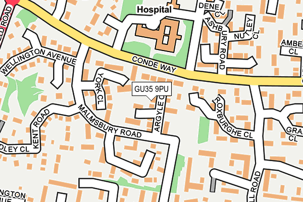 GU35 9PU map - OS OpenMap – Local (Ordnance Survey)