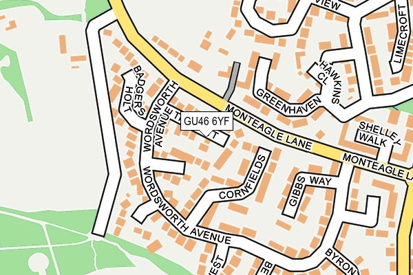 GU46 6YF map - OS OpenMap – Local (Ordnance Survey)