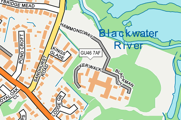 GU46 7AF map - OS OpenMap – Local (Ordnance Survey)