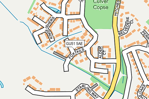 GU51 5AE map - OS OpenMap – Local (Ordnance Survey)