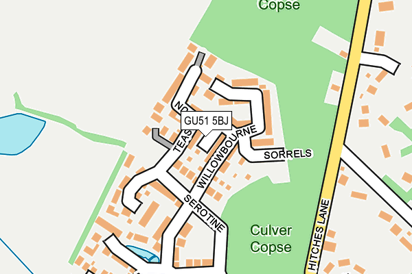 GU51 5BJ map - OS OpenMap – Local (Ordnance Survey)