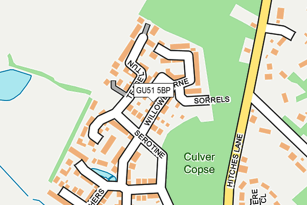 GU51 5BP map - OS OpenMap – Local (Ordnance Survey)