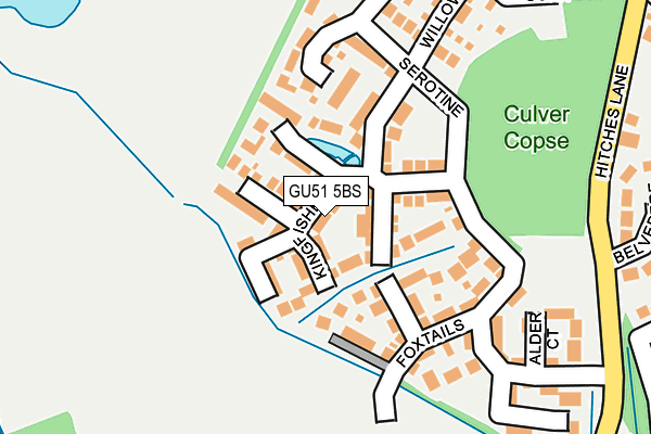 GU51 5BS map - OS OpenMap – Local (Ordnance Survey)