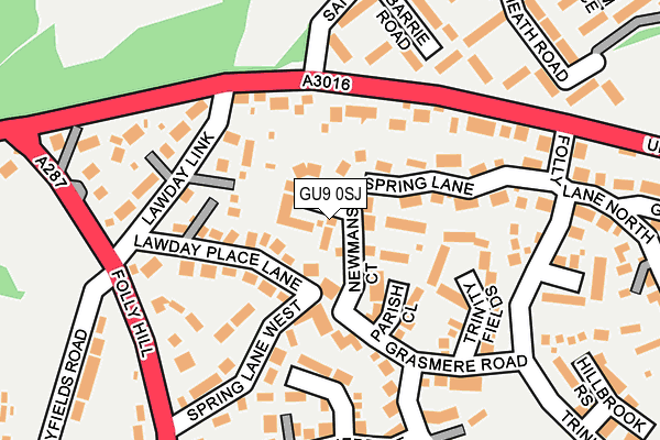 GU9 0SJ map - OS OpenMap – Local (Ordnance Survey)