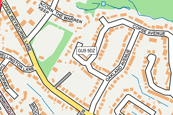 GU9 9DZ map - OS OpenMap – Local (Ordnance Survey)