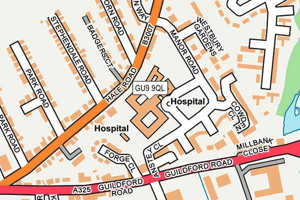 GU9 9QL map - OS OpenMap – Local (Ordnance Survey)
