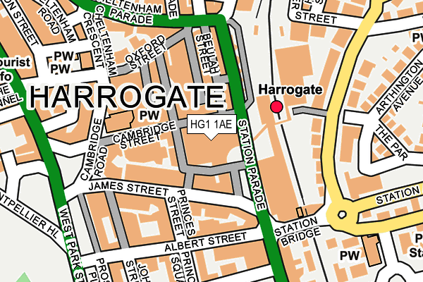 HG1 1AE map - OS OpenMap – Local (Ordnance Survey)