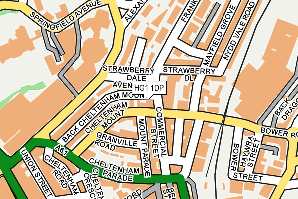 HG1 1DP map - OS OpenMap – Local (Ordnance Survey)