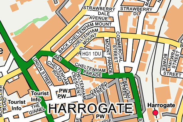 HG1 1DU map - OS OpenMap – Local (Ordnance Survey)