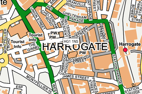 HG1 1NS map - OS OpenMap – Local (Ordnance Survey)