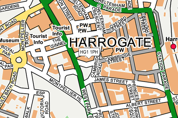 HG1 1PH map - OS OpenMap – Local (Ordnance Survey)