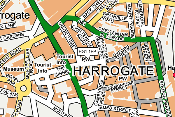 HG1 1PP map - OS OpenMap – Local (Ordnance Survey)