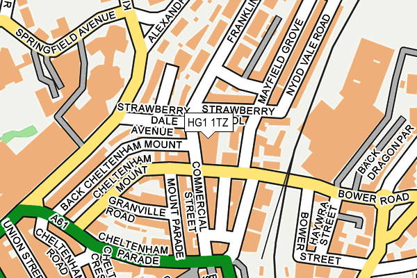 HG1 1TZ map - OS OpenMap – Local (Ordnance Survey)