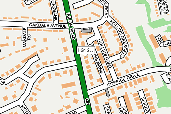 HG1 2JJ map - OS OpenMap – Local (Ordnance Survey)