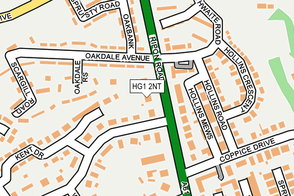 HG1 2NT map - OS OpenMap – Local (Ordnance Survey)